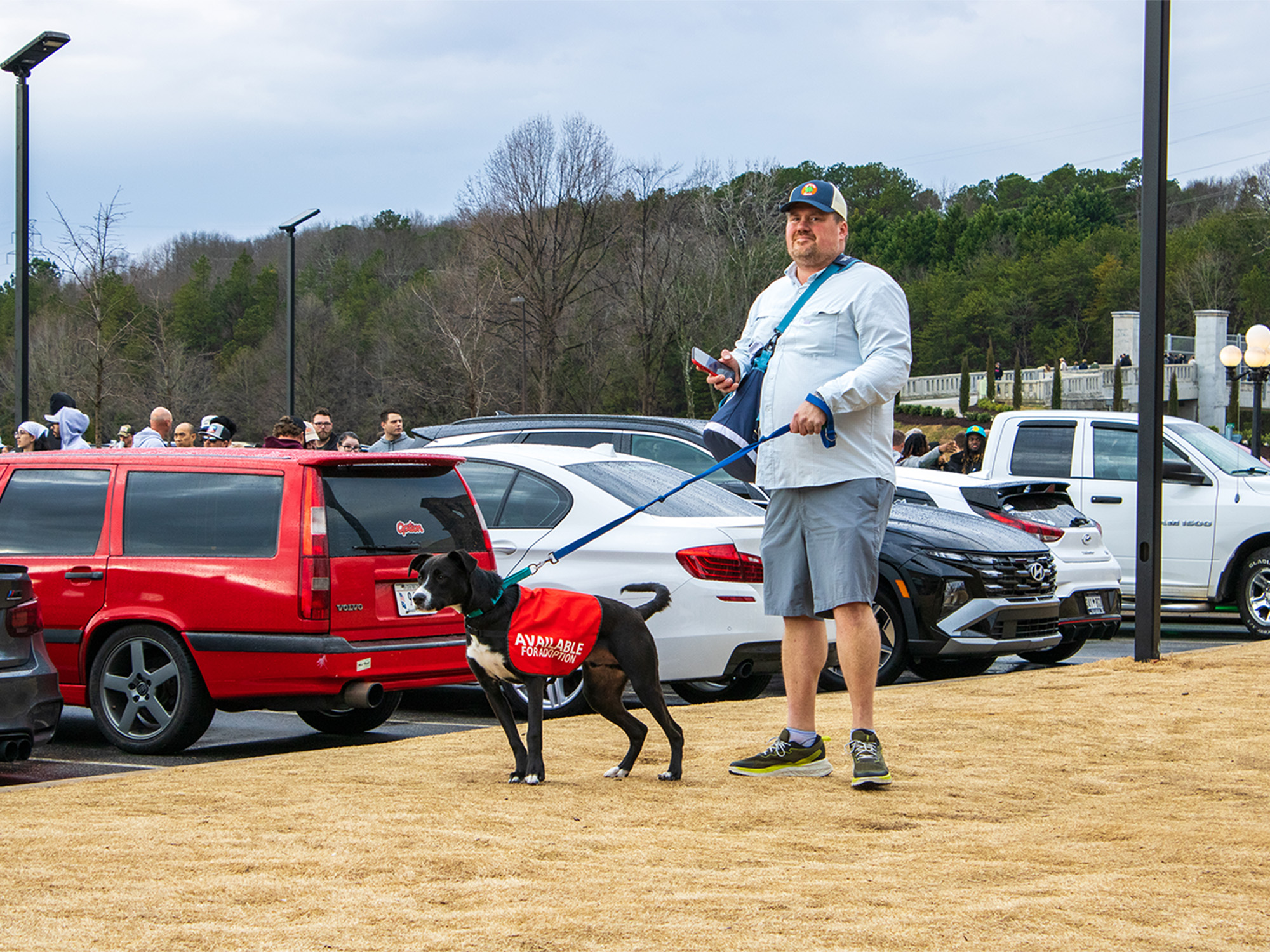 man walking a rescue dog at car show