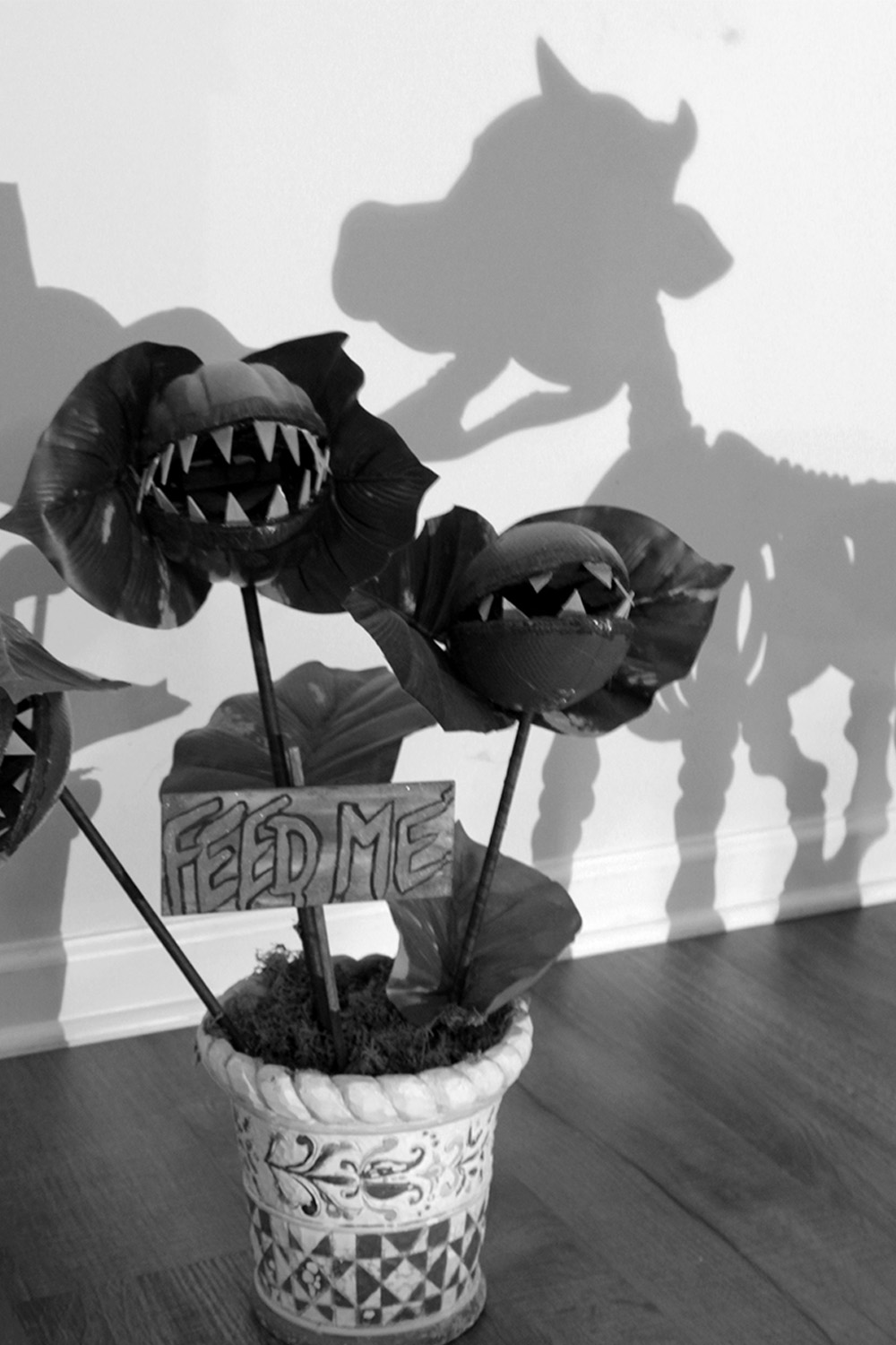 shadow of a skeleton cow trying to eat a scary plant with feed me sign